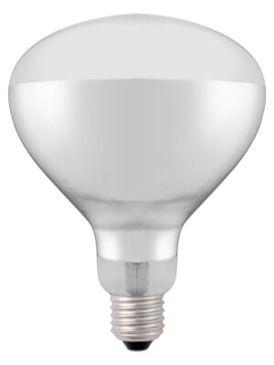 919200 Shatterproof Bulb White 02
