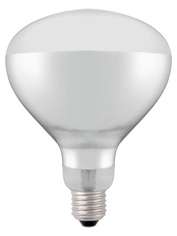 919200 Shatterproof Bulb White 02
