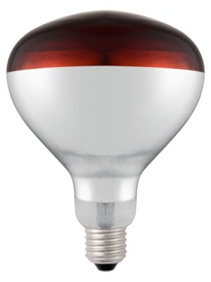 919217 Shatterproof Bulb Red 02