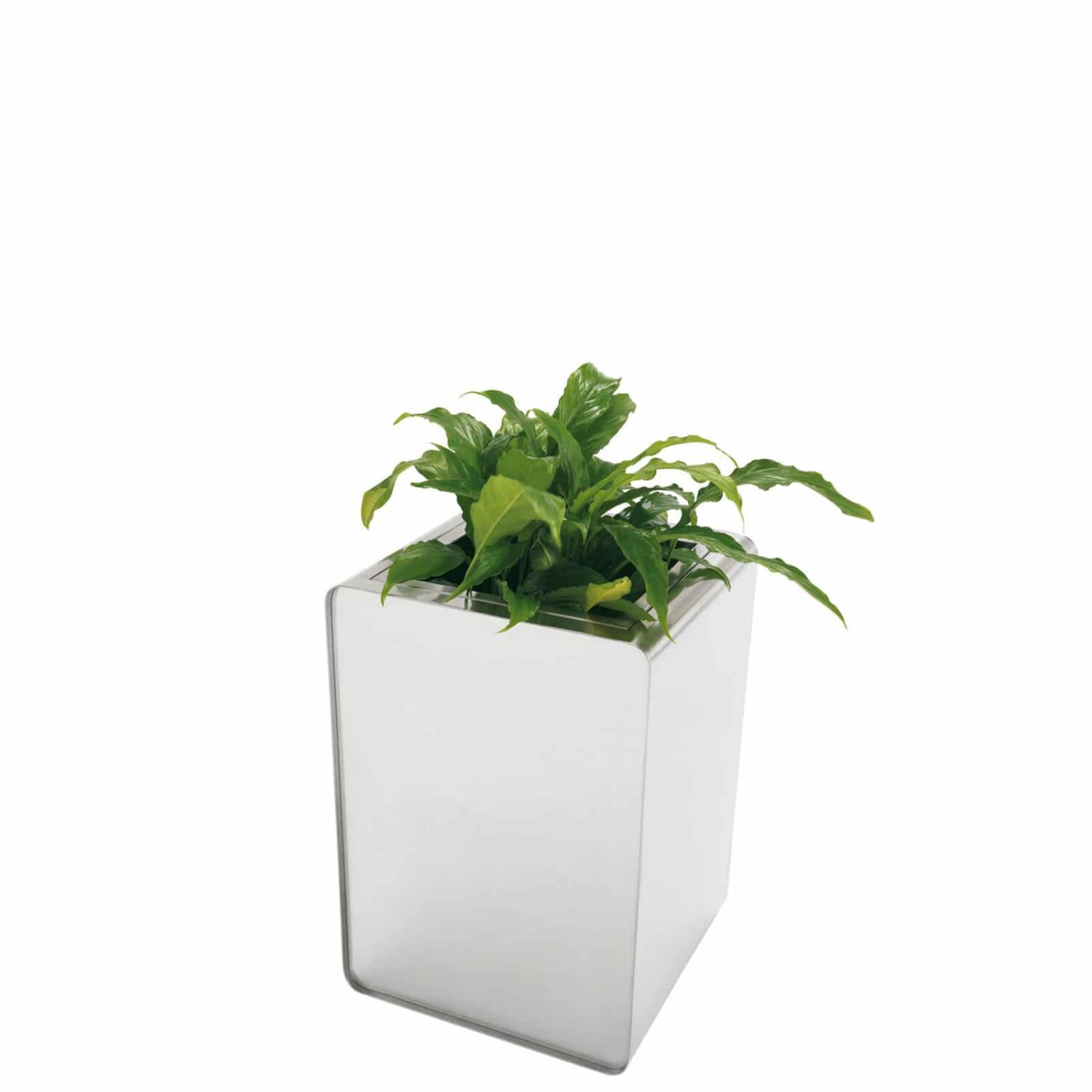 Prisma planters